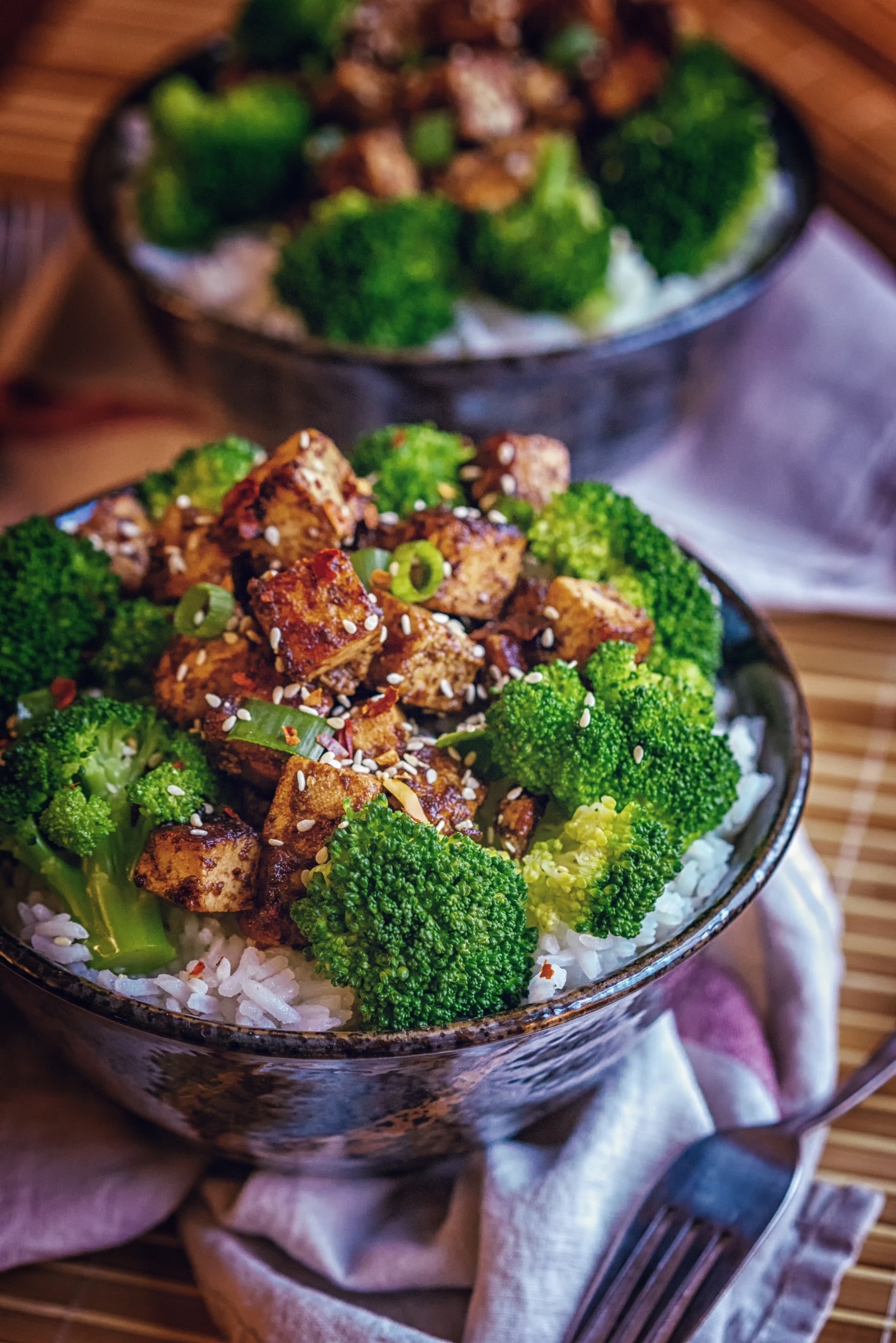 Roasted Tofu with Soy Sauce, Broccoli and Rice