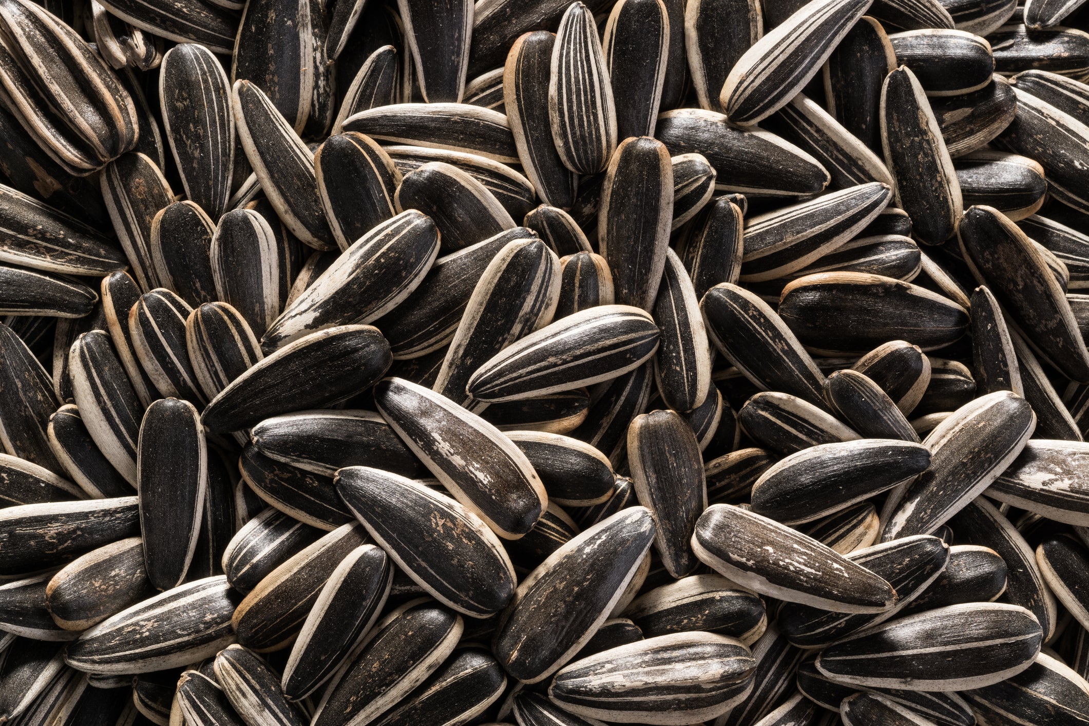 Sunflower Seeds